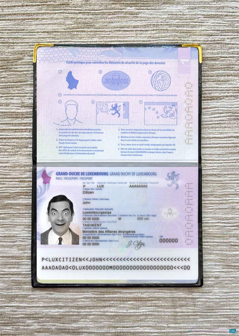 Download Luxembourg passport photo look Photoshop template